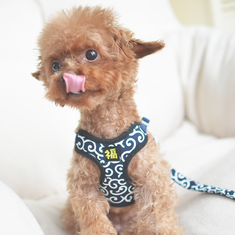 极速唐草柴犬f秋田狗狗背心式胸背牵引绳小型犬泰迪比熊遛狗牵引