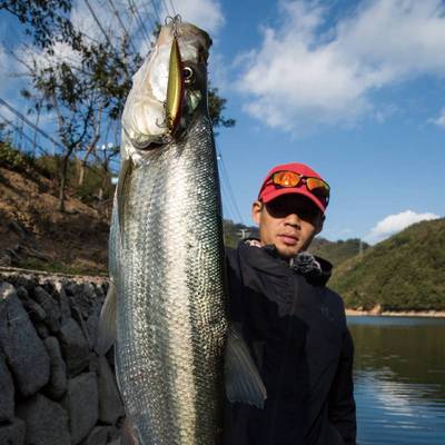 极速DNE浅杀米诺浅水防挂翘嘴z鳡鱼红尾浮水11.5克路亚饵窗口期假