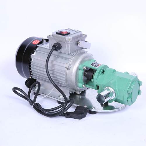 极速220V750W齿轮油t泵电动铸铁抽油泵机油泵液压油煤油自吸式水