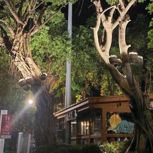 新品仿真鸟巢灯鸟窝照树灯射树灯户外射灯K防水工程绿化鸟笼园林