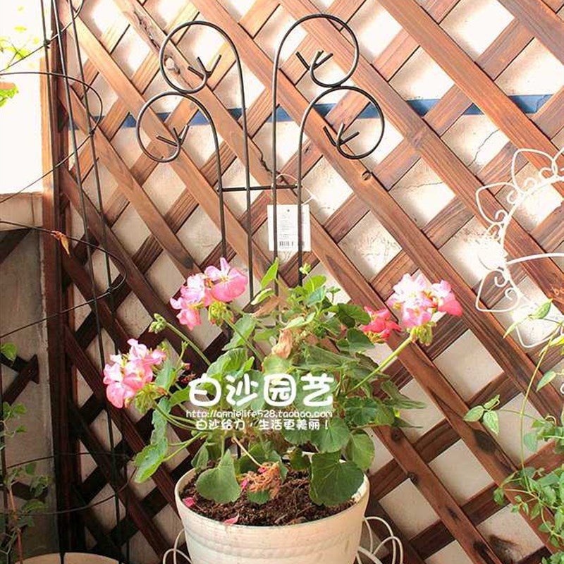 极速蝴蝶型铁线莲爬藤花架 园艺栅栏 网片架铁P艺爬藤支架阳台庭