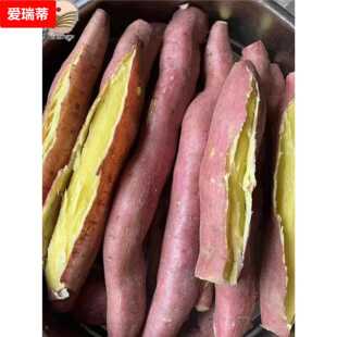 陕栗板栗红薯新鲜临潼粉糯番薯地红苕沙黄白心红薯地瓜西山50061