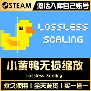 【小黄鸭无损缩放】 STEAM全球区激活码CDK永久入库CDKEY激活入库