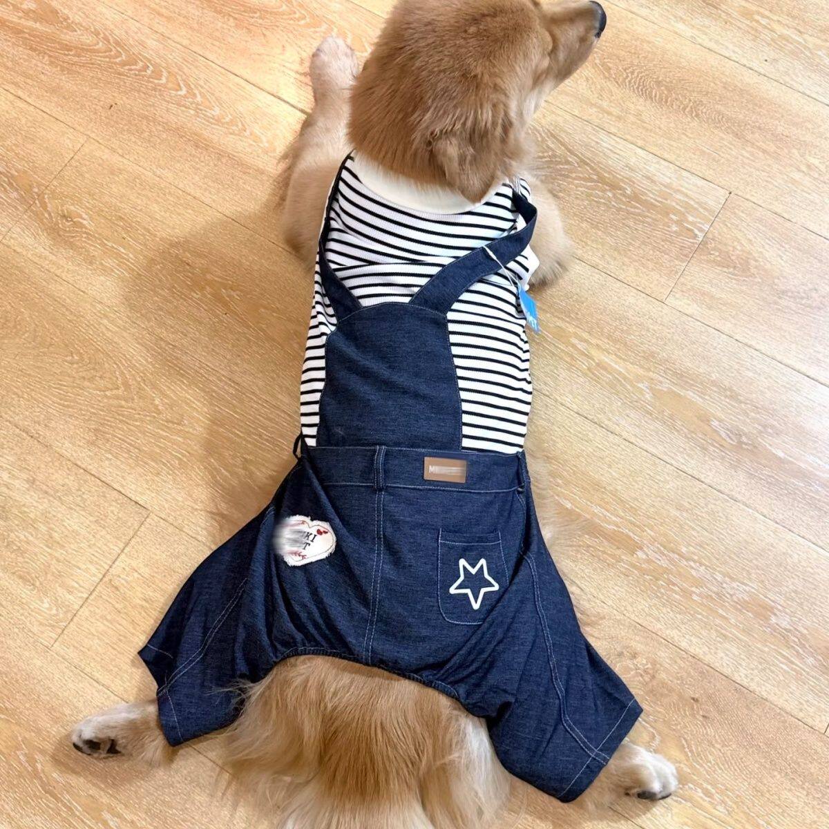 中大型犬狗狗牛仔背带裤连体金毛拉布拉多条纹四脚衣春秋大狗衣服