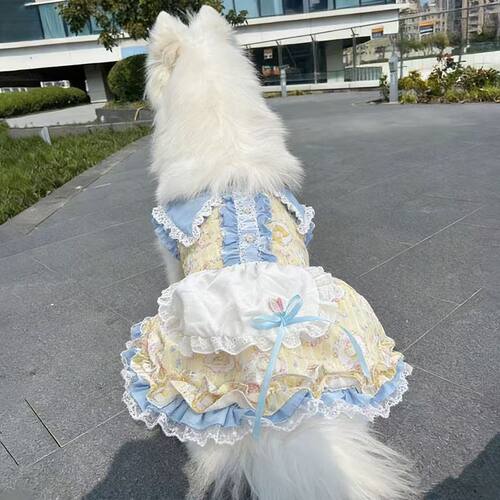 宠物春夏公主大中型犬绑带网纱裙宠物狗狗猫咪衣服萨摩耶防掉毛