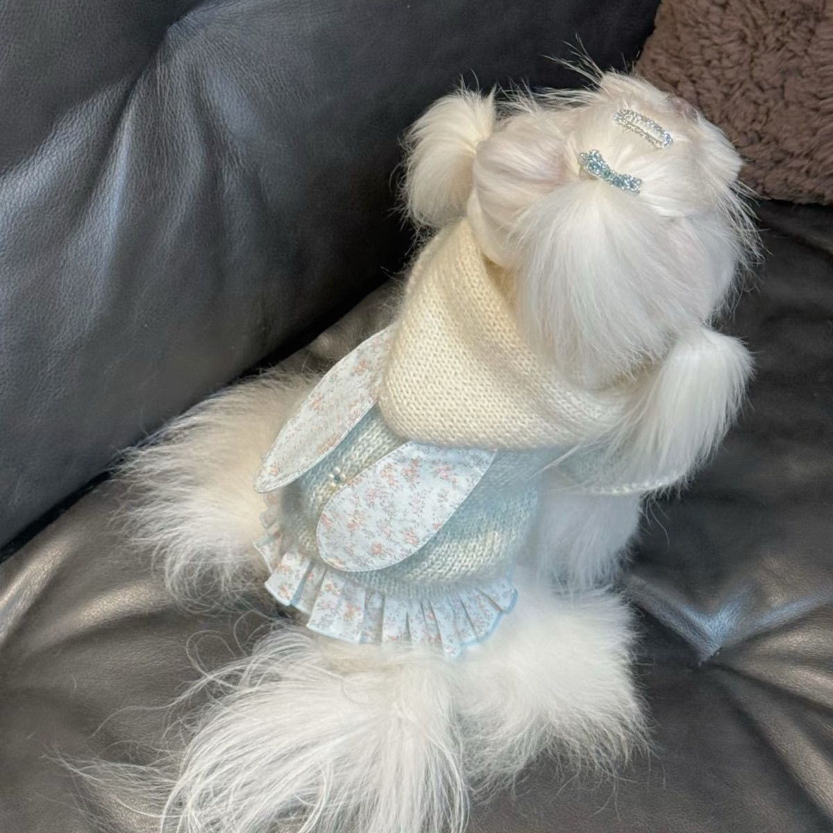小狗狗新款秋冬学院风保暖小型雪纳瑞毛衣猫咪宠物可爱衣服毛衣