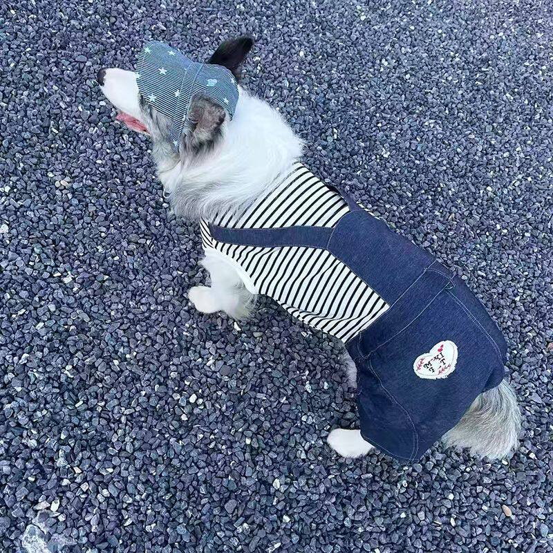 中大型犬狗狗牛仔背带裤连体金毛拉布拉多条纹四脚衣春秋大狗衣服
