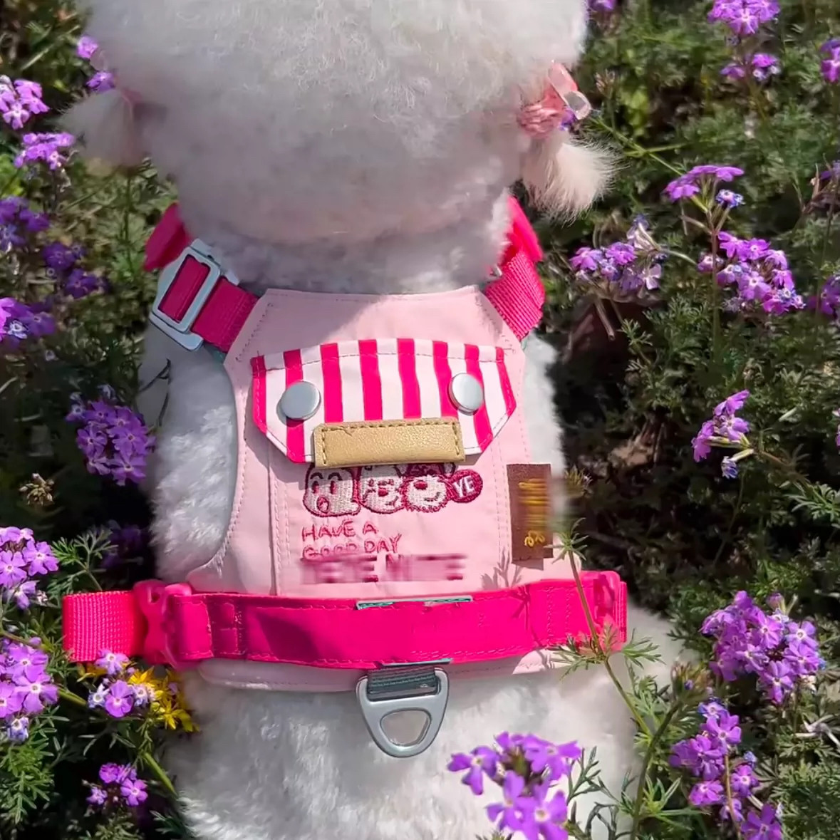 狗狗牵引绳背心式遛狗绳狗绳子调节小型犬胸背带泰迪可爱宠物用品