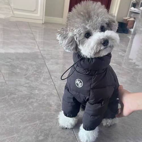 宠物猫咪狗狗秋冬装加厚防寒四脚棉服泰迪比熊狗狗帅气保暖棉衣