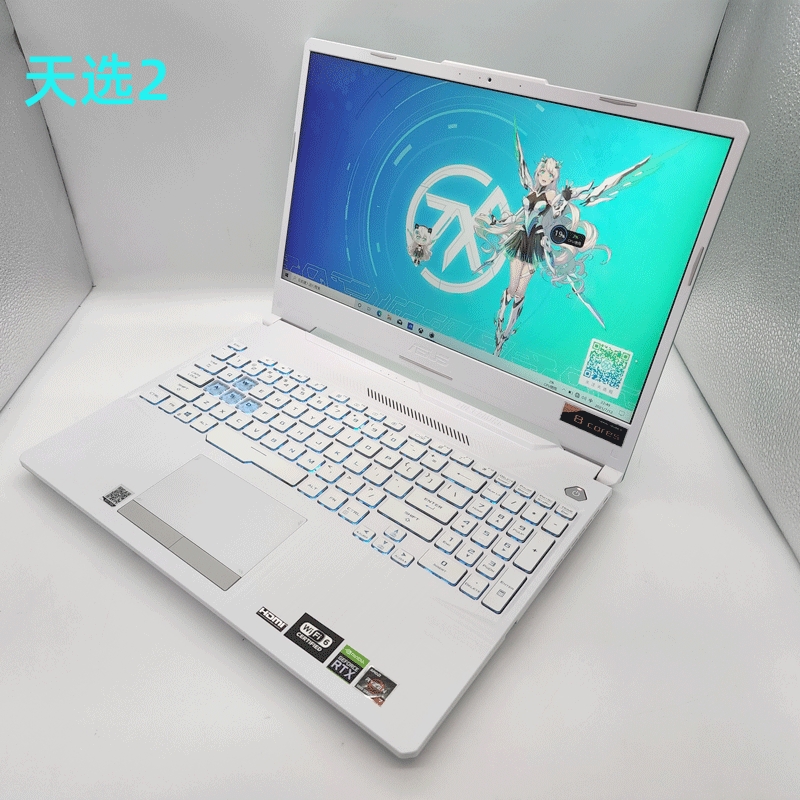 Asus/华硕 天选系列 天选4 3 2 1笔记本电脑15.6寸游戏本永劫吃鸡