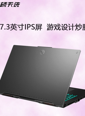 Asus/华硕天选Plus游戏17.3寸大屏幕12核FX706HM笔记本电脑12代i7