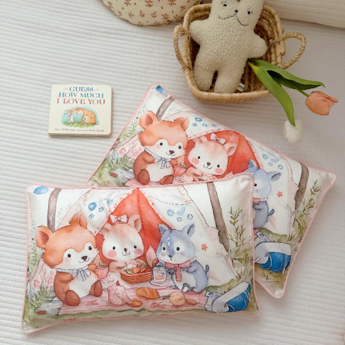 安懒懒 A类60S全棉纯棉儿童枕套卡通宝宝枕头羽丝棉枕芯30x50cm