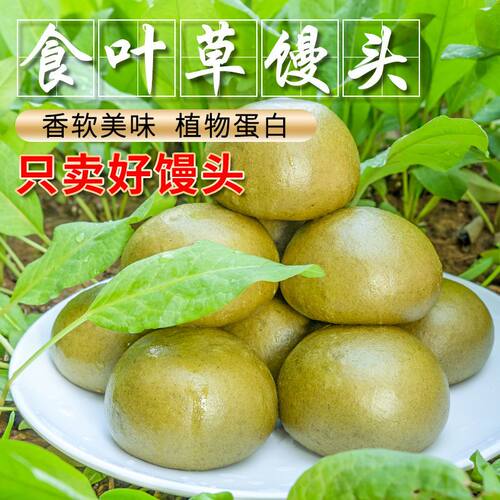 食叶草植物无蔗糖纯手工全麦馒头