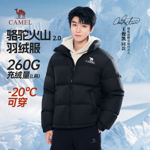 骆驼羽绒服加厚防风男