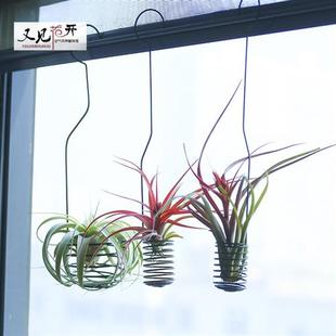 架子 空气凤梨花架支架螺旋挂钩垂吊挂式