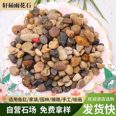新款直销地暖回填豆石家装小石子滤料石水洗石耐高温汗蒸鹅卵石沙