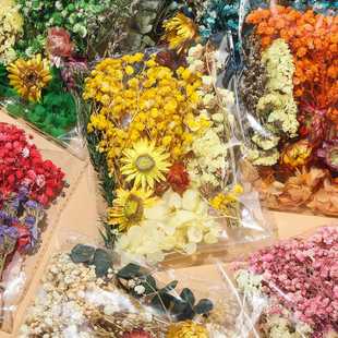 新款直销干花团扇diy永生花材料包DIY相框贴画浮游七夕节花艺课袋