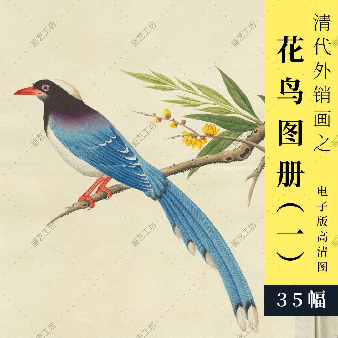花鸟彩绘图册清代外销画工笔国画手绘水粉水彩画彩铅博物画临摹本