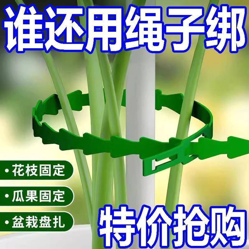 鱼骨型扎带固定扣牵引线可松式爬藤植物捆绑线绑园艺扎线固定神器