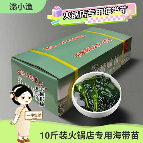 火锅店专用一箱装海带苗