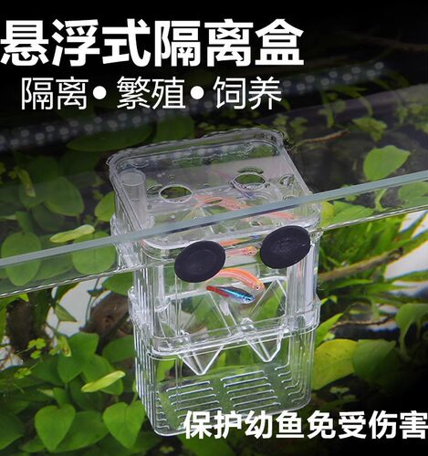 鱼缸隔离盒孔雀鱼孵化盒