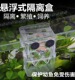 鱼缸隔离盒孔雀鱼孵化盒热带小鱼幼鱼孵化盒亚克力挂钩隔离孵化盒