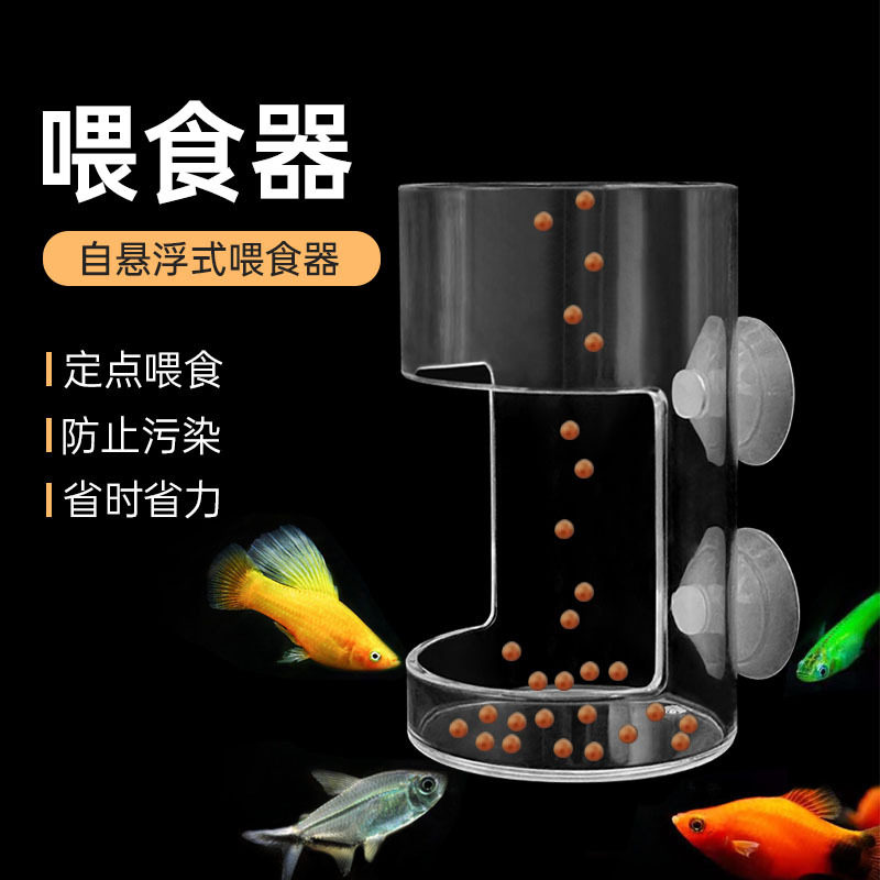 鹦鹉鱼乌龟鱼缸鱼食漂浮喂食圈悬浮鱼儿投食圈锦鲤大号水族箱