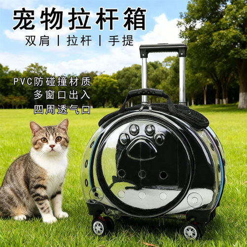 猫包外出便携透明双肩包宠物航空箱大容量宠物背包狗包宠物拉杆箱