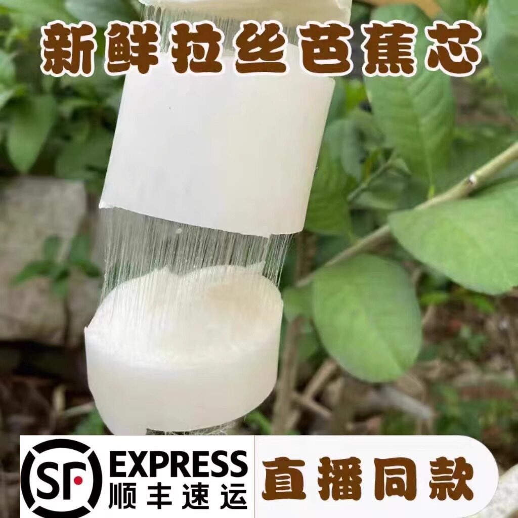 分装瓶收纳罐顺丰天然采摘芭蕉杆炒菜芭蕉心香蕉杆茎空心蕉茎干心