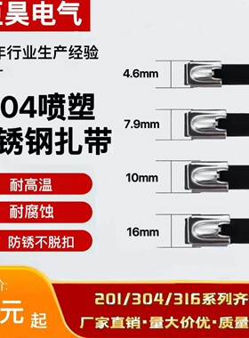 分装瓶收纳罐304自锁式滚船用电线桥架耐高温防腐黑色喷塑捆扎带