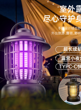 分装瓶收纳罐跨境家用灭灯充电露营灯灭拍户外室内紫光器
