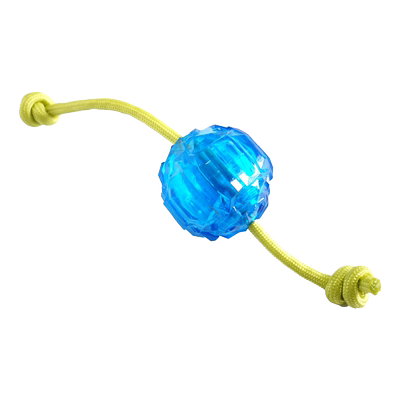 caitec狗狗玩具冰冻玩具