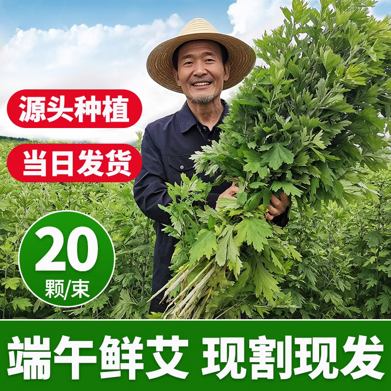 端午节新鲜艾草挂门花束整棵门挂艾叶野生菖蒲艾蒿diy门口挂件