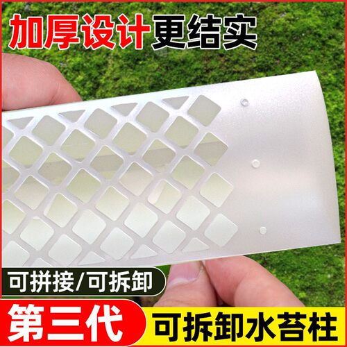 龟背竹水苔柱热植专用植物攀爬柱蔓绿绒可拼接新型支撑杆花架