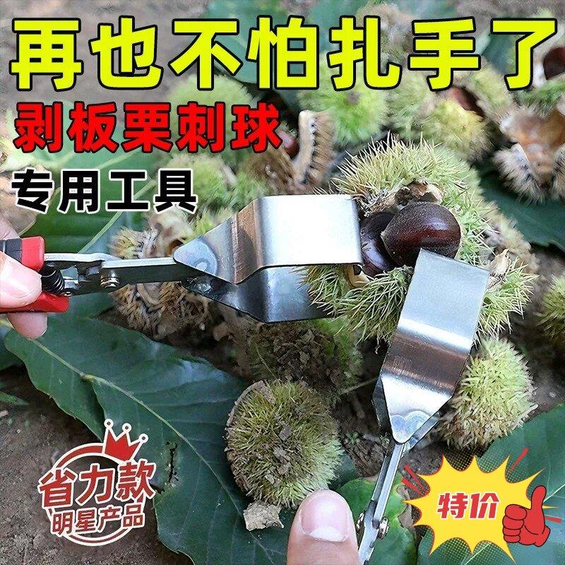 定制板栗剥壳器剥板栗刺球剥皮拨板栗刺球开壳开板栗夹去皮工具