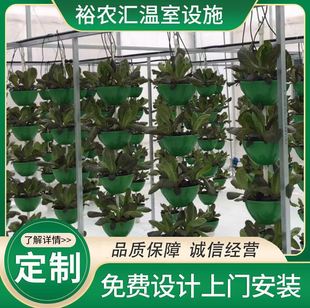 基质培运费以实际 无土栽培种植碗 立体种植 多层种植 串碗串珠式