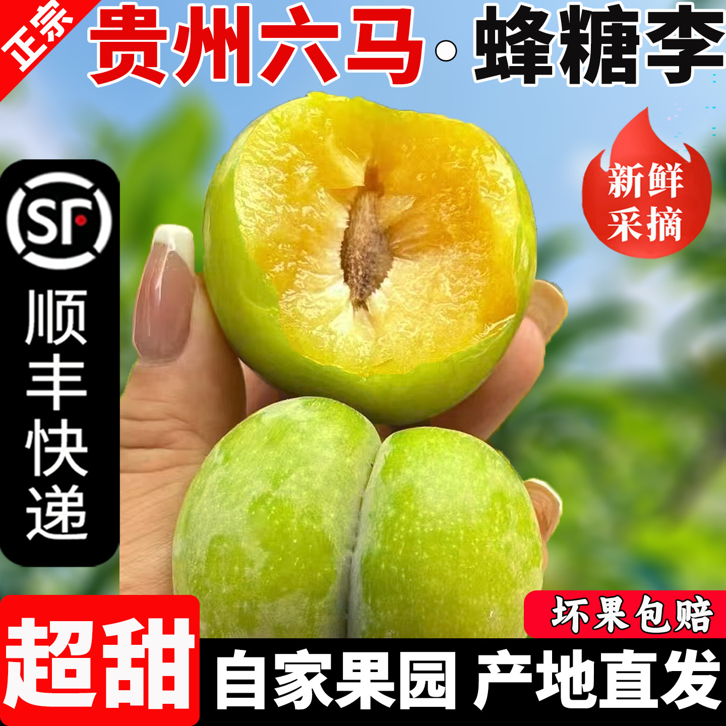 正宗贵州六马蜂糖李特大鲜果安顺镇宁脱骨李新鲜李子应季水果礼盒