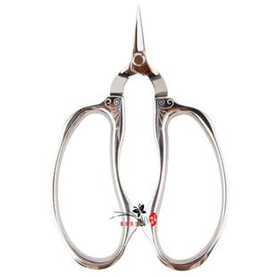 极速兰花分苗工具l兰叶兰根修剪刀分苗伤口处理切口保阳台养兰用