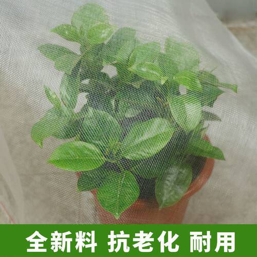 新品厂销新促防虫网防鸟罩果树养殖E场防鸟大棚专用场猪丝网防网