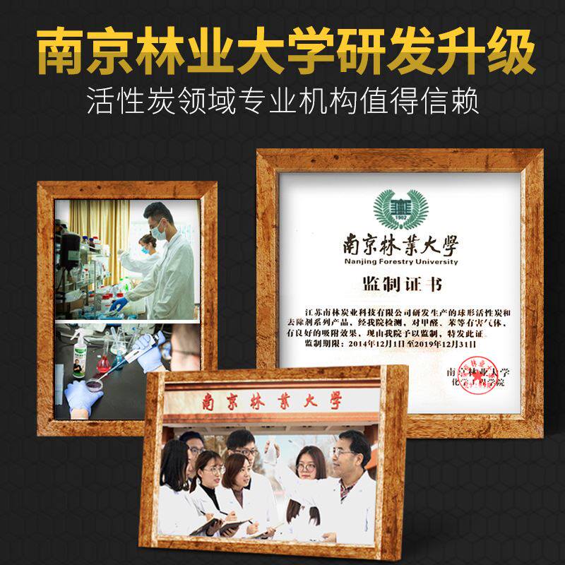 极速新款去d除活性炭新房装修除味神器竹炭家用室内碳包吸甲醛木