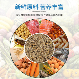 极速宠尚天鹩哥鸟食饲料八哥饲料红D嘴山鸦喜鹊麻雀画眉绣眼鸟粮