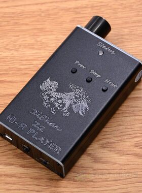极速2019 Hot Zishan Z1/Z2 DIY MP3 ProfessLional Music MP3 HI
