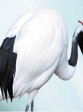 极速Free Shipping 3oD Outdoor Mountain Streams Pebble Scene