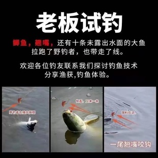 极速钓鱼丁香油h开口剂鱼饵添加剂野钓黑坑冬季诱鱼剂鱼N饵添加剂