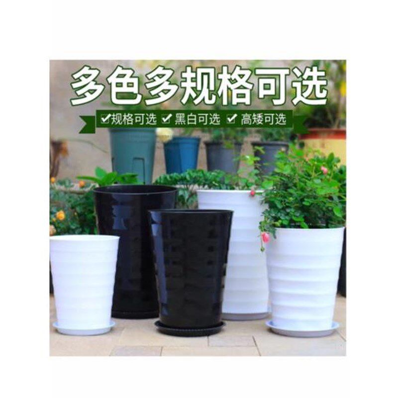 特大号螺纹散尾葵仿陶瓷果树花盆大型植物高筒圆形加厚白色塑料盆