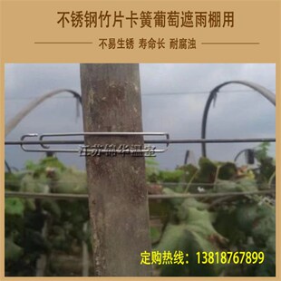 大棚园林配件葡萄避雨棚竹片钢丝卡扣不锈钢十字固定压顶簧顶弹黄