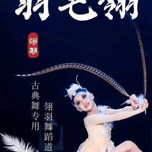 翎子舞蹈道具羽毛戏曲头饰京剧戏剧配饰春晚群青古典舞蹈表演道具