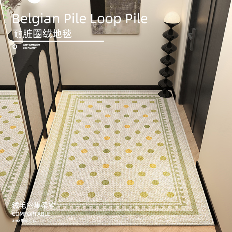 入户门地垫轻奢高级感进门门口脚垫家用室内吸水防滑玄关地毯门垫