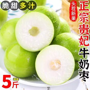 【果多安旗舰店】正宗云南牛奶大青枣5斤