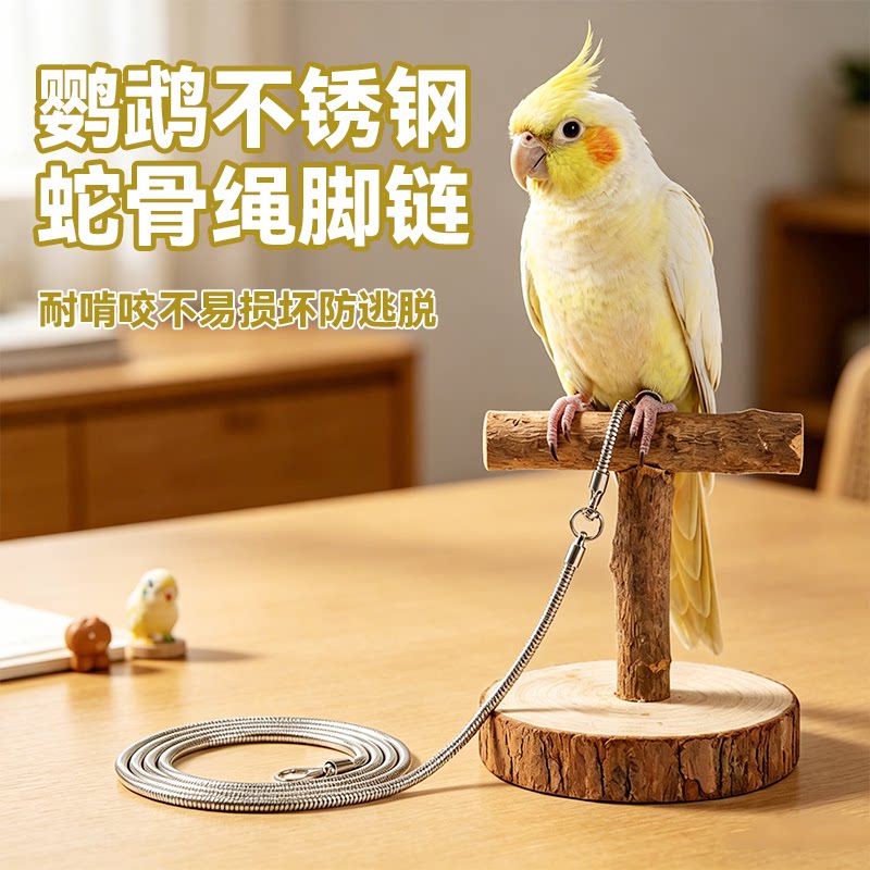 鹦鹉不锈钢脚链防咬不伤脚玄凤牡丹虎皮专用放飞绳牵引绳外出用品